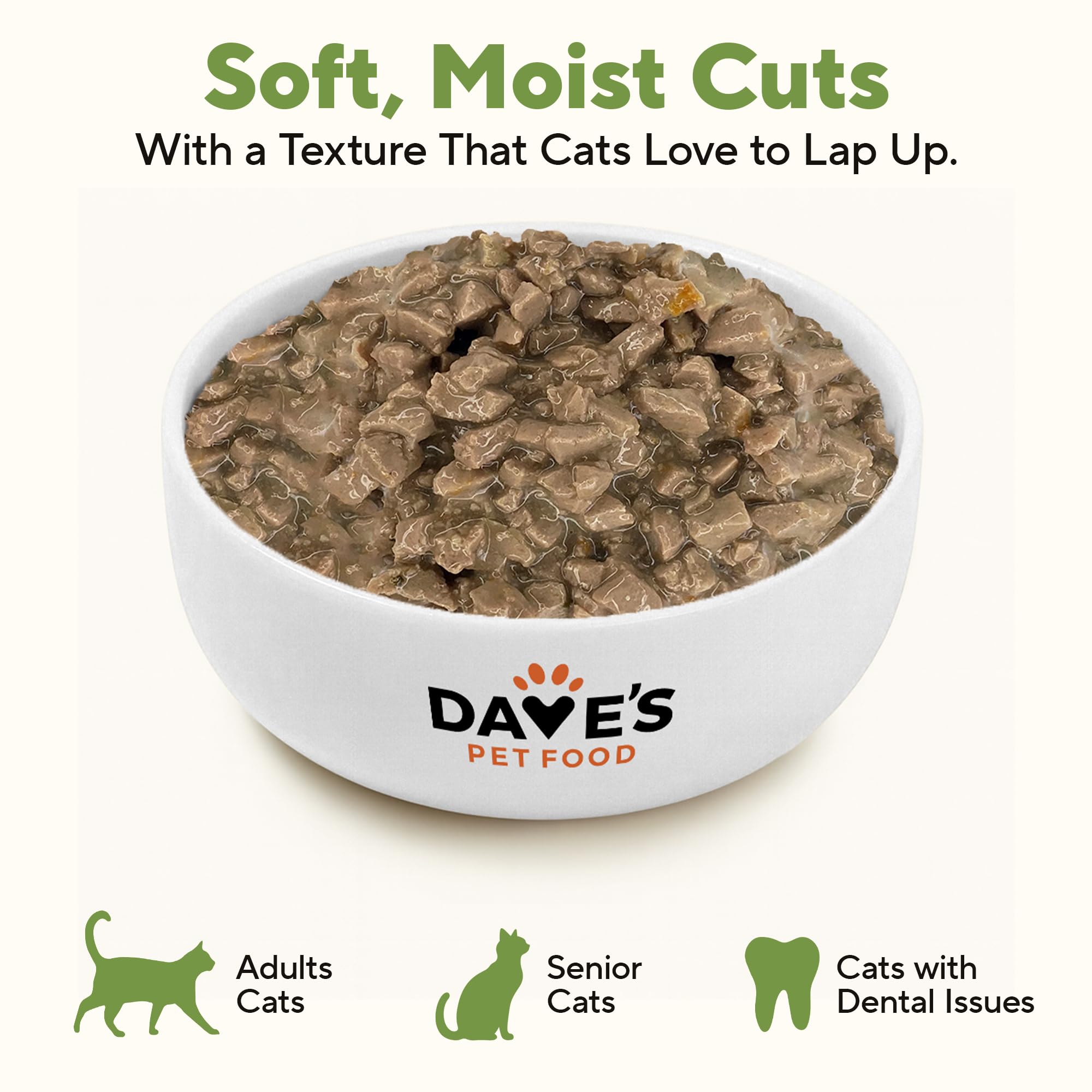 Cat-friendly bowl with Dave's Pet Food ready to serve
