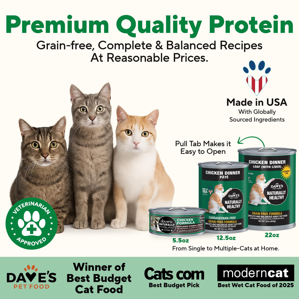 Dave's Pet Food cat food pate chicken serving bowl shows meal ready for picky eaters.