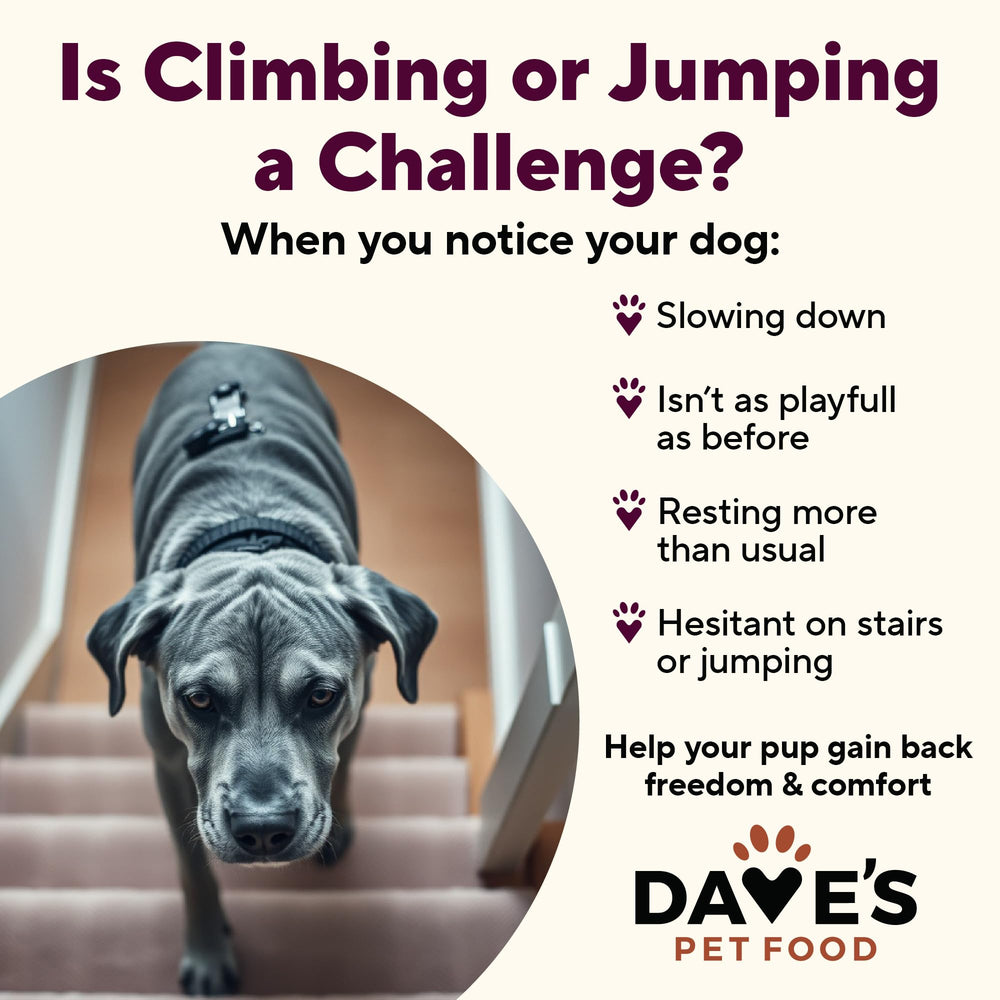 Dave's Pet Food real-chicken-first-ingredient highlights high-quality protein for muscles