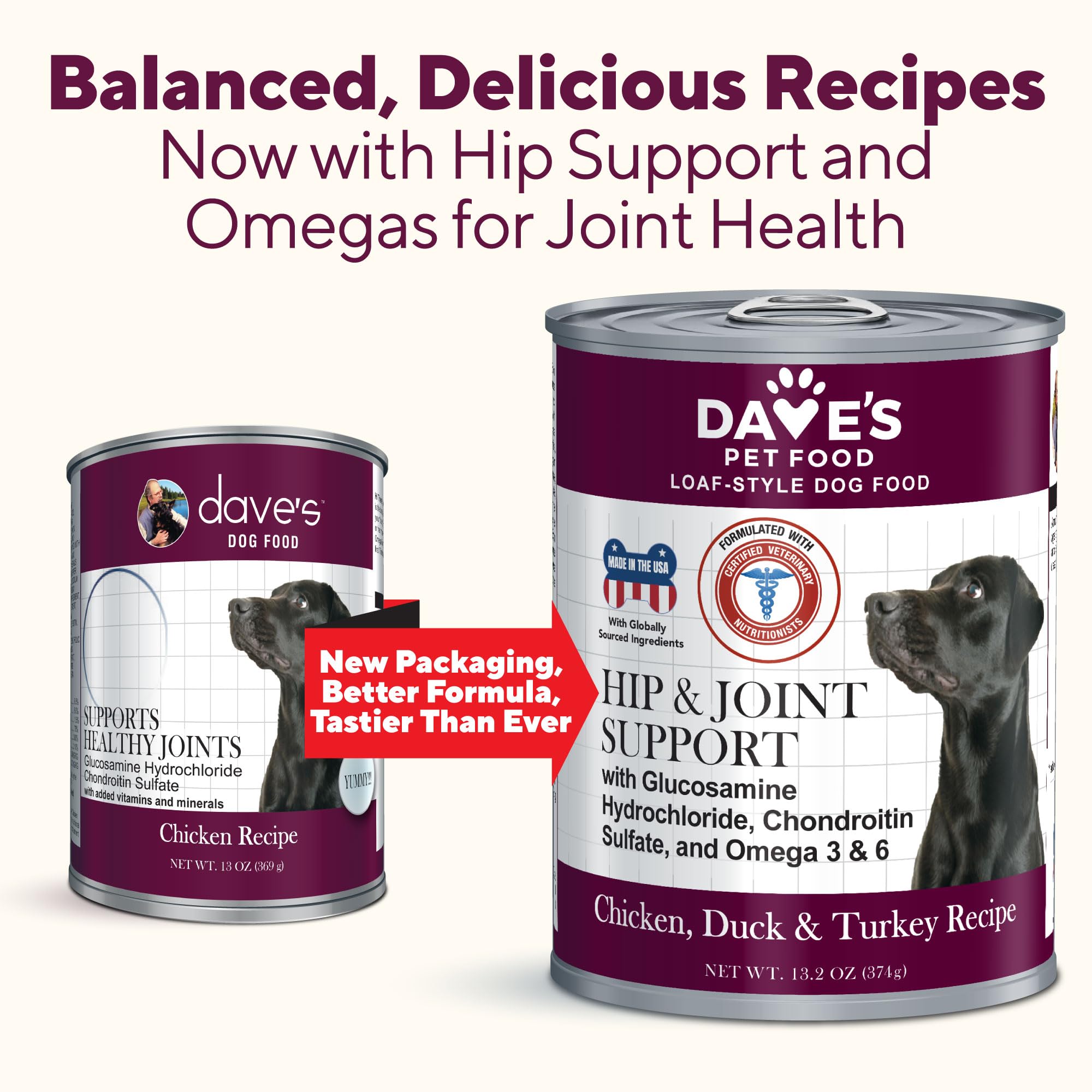 Dave's Pet Food glucosamine-chondroitin senior-dog-meal plate focuses on mobility support