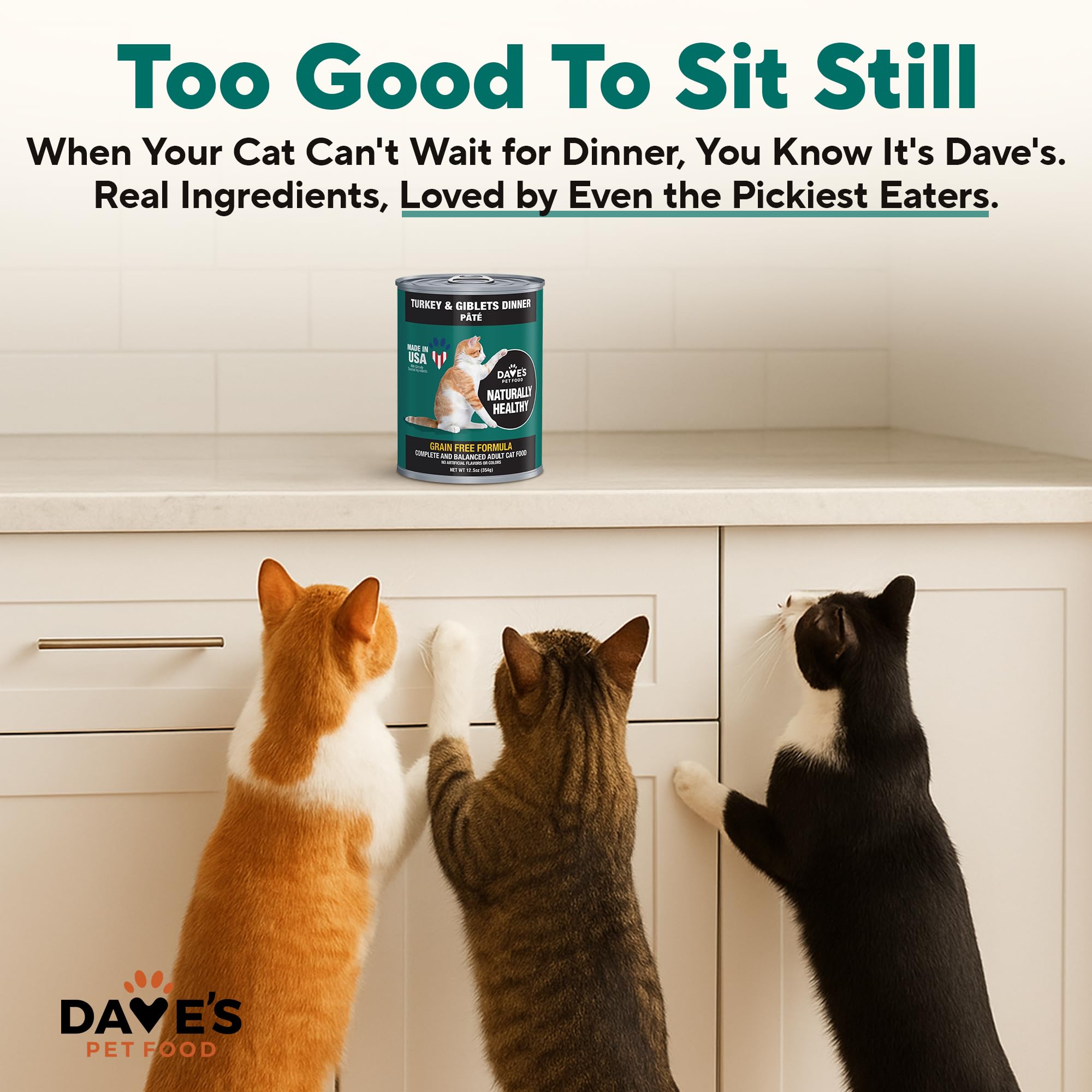 Dave's Pet Food grain-free formula close-up highlights no grains or artificial flavors