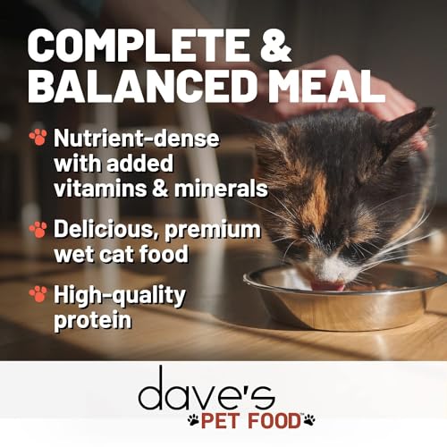 Dave's Pet Food grain-free 24-pack cans on shelf signals value and convenience