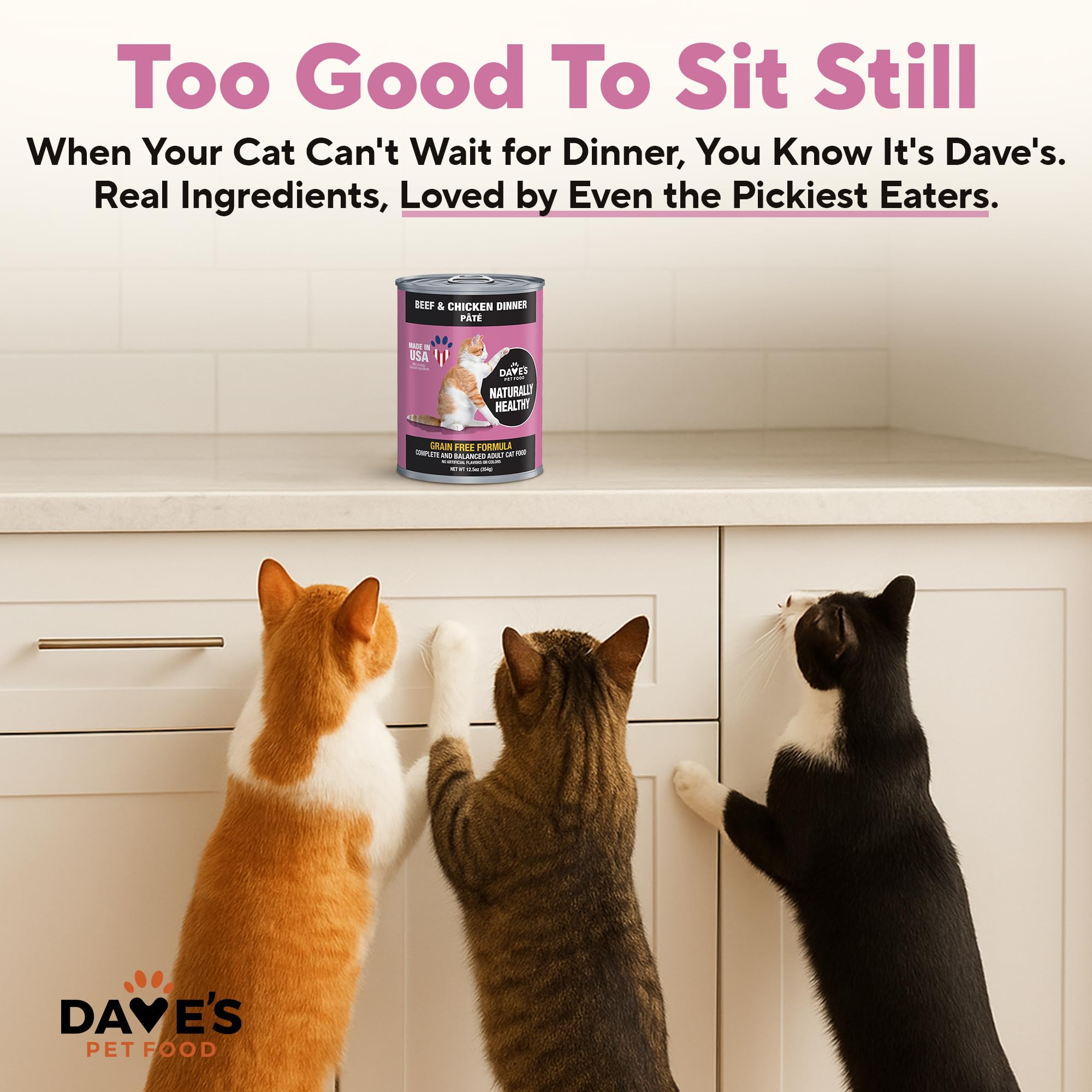 Dave's Pet Food grain-free formula excludes grains for sensitive cats.