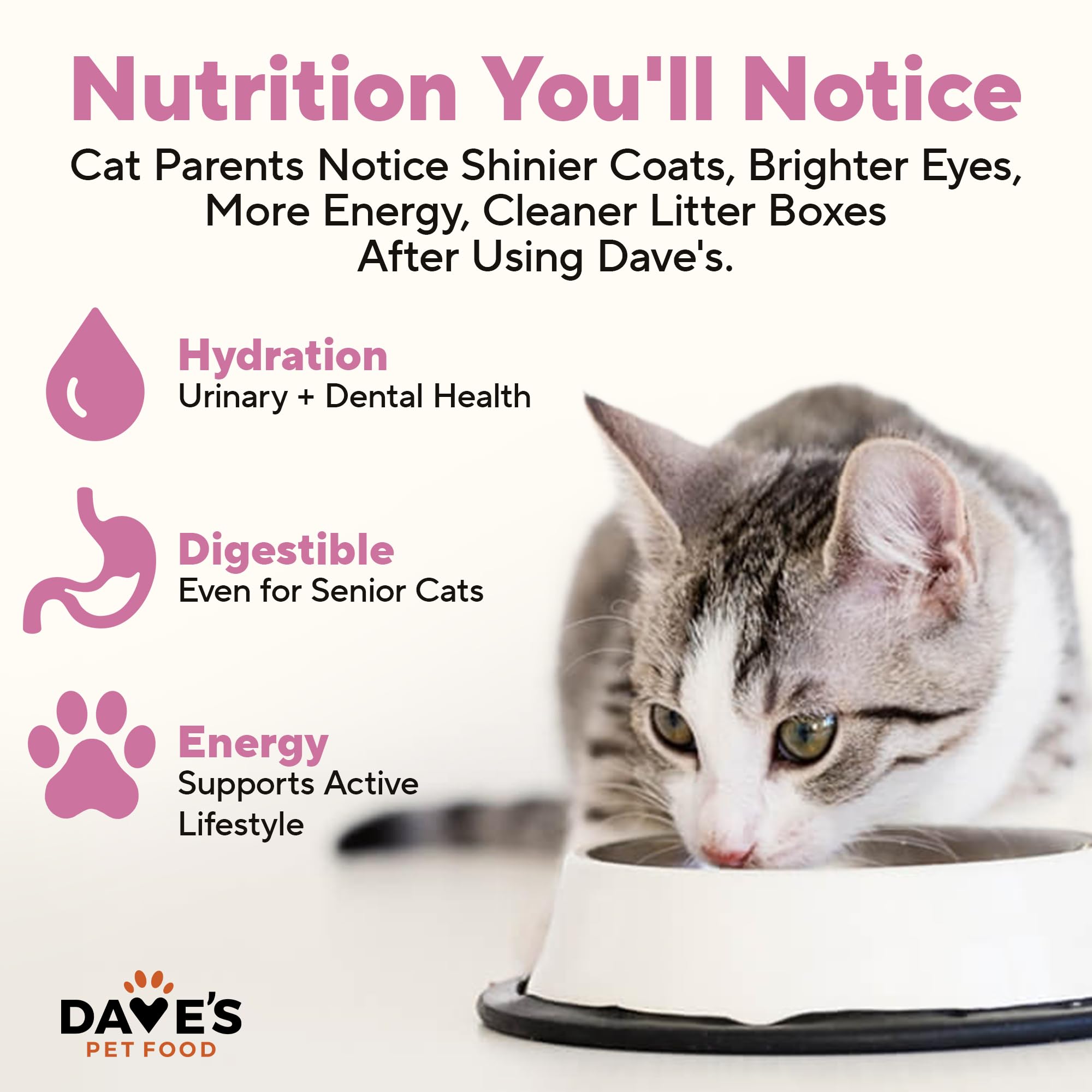 Dave's Pet Food USA-made mark signals domestic production and quality.