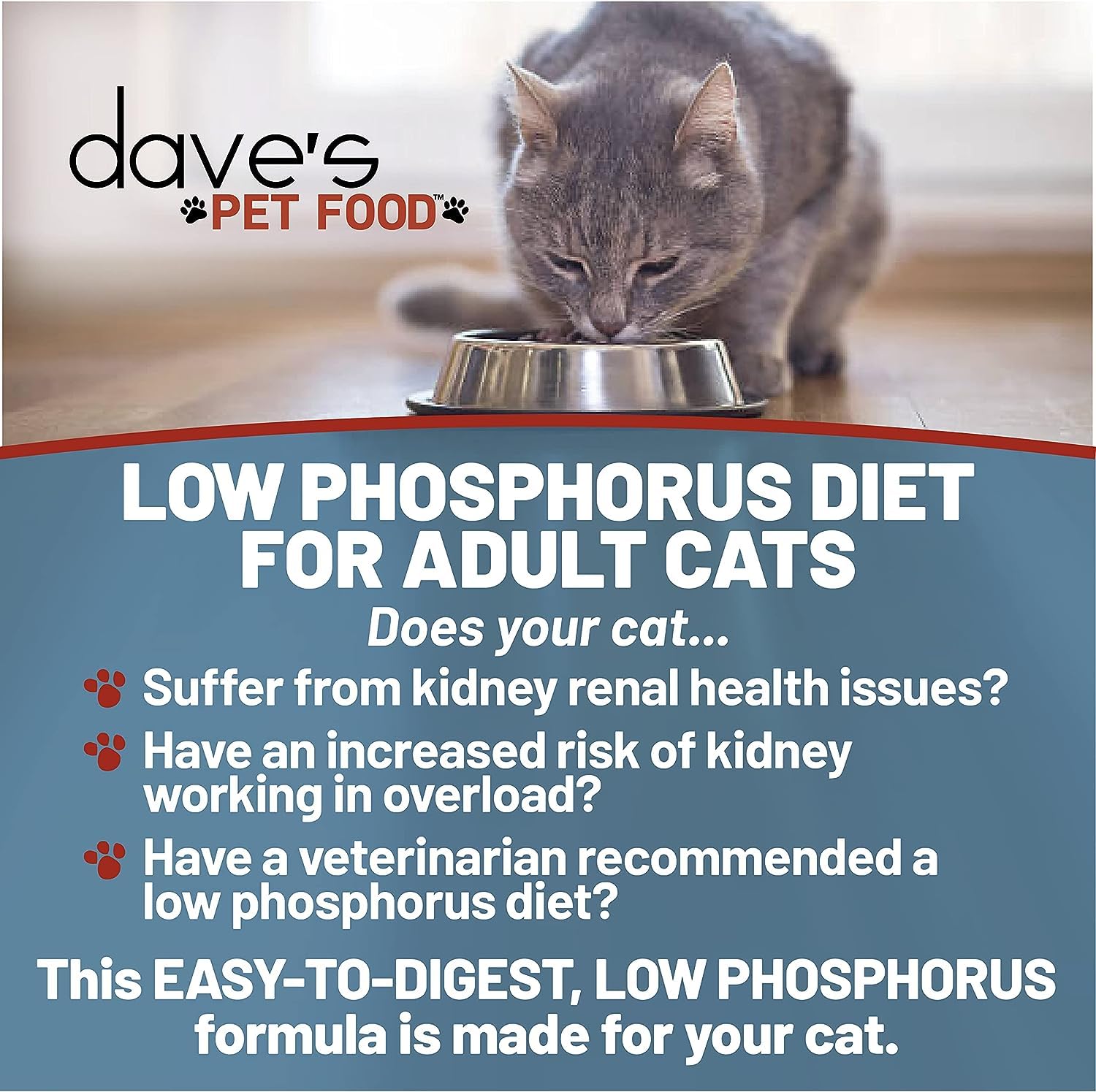 Dave's Pet Food kidney-support wet cat food texture close-up shows protein-rich pate for palatability