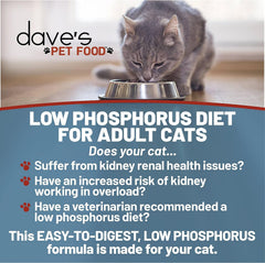 Dave's Pet Food kidney-support wet cat food texture close-up shows protein-rich pate for palatability