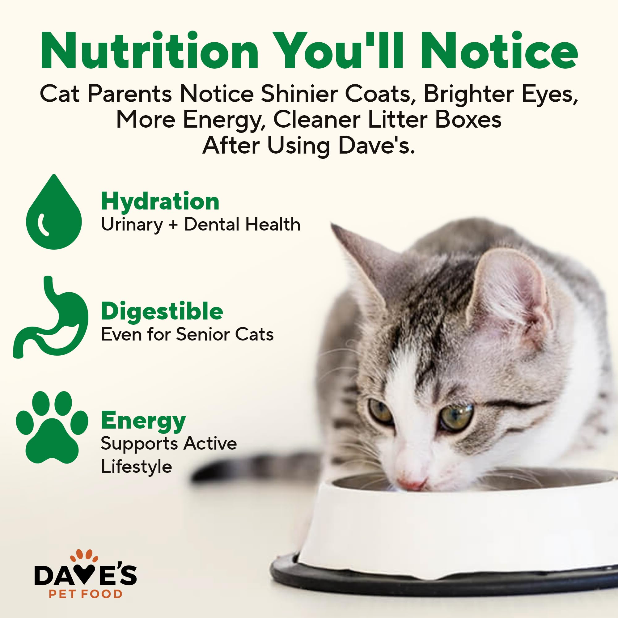 Dave's Pet Food USA-made packaging signals domestic sourcing and quality.