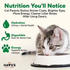 Dave's Pet Food USA-made packaging signals domestic sourcing and quality.