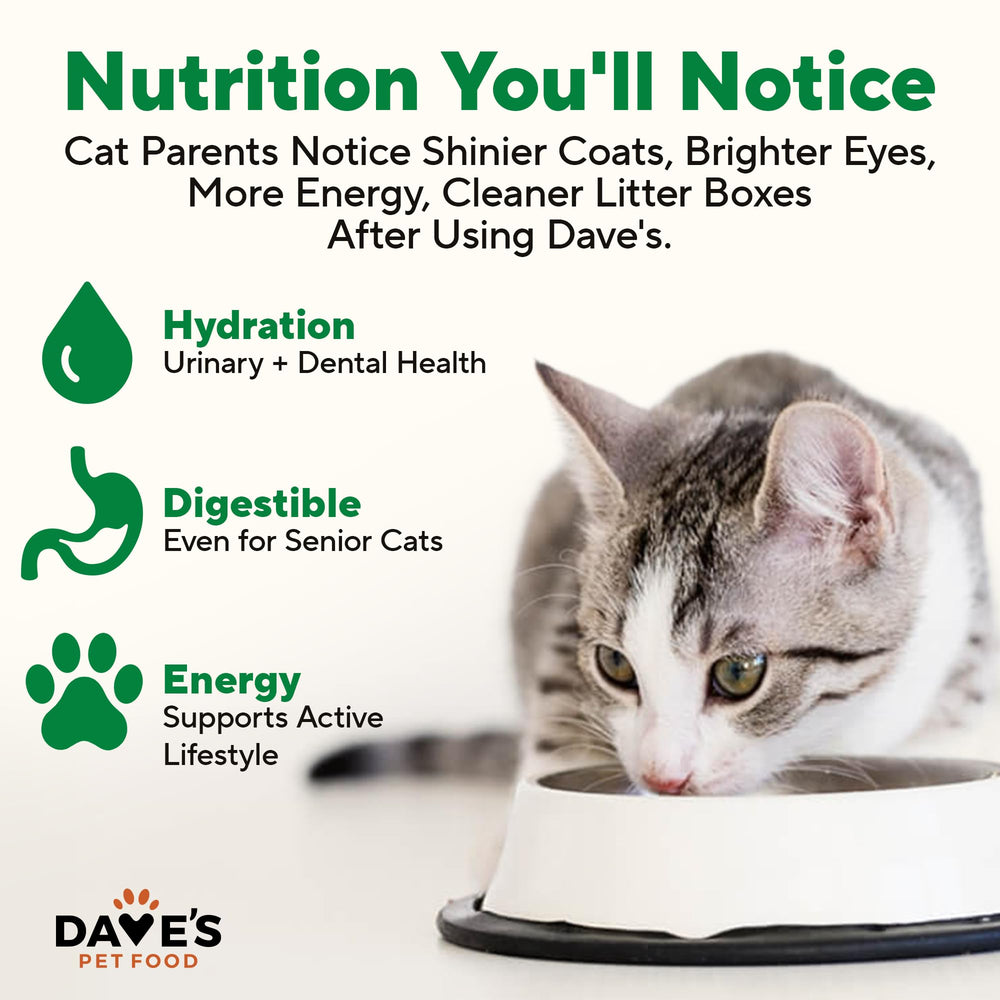 No-grain formula in Dave's Pet Food with no artificial flavors or carrageenan.