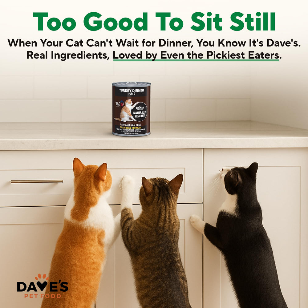 Dave's Pet Food no grain artificial flavors carrageenan image reinforces clean ingredients