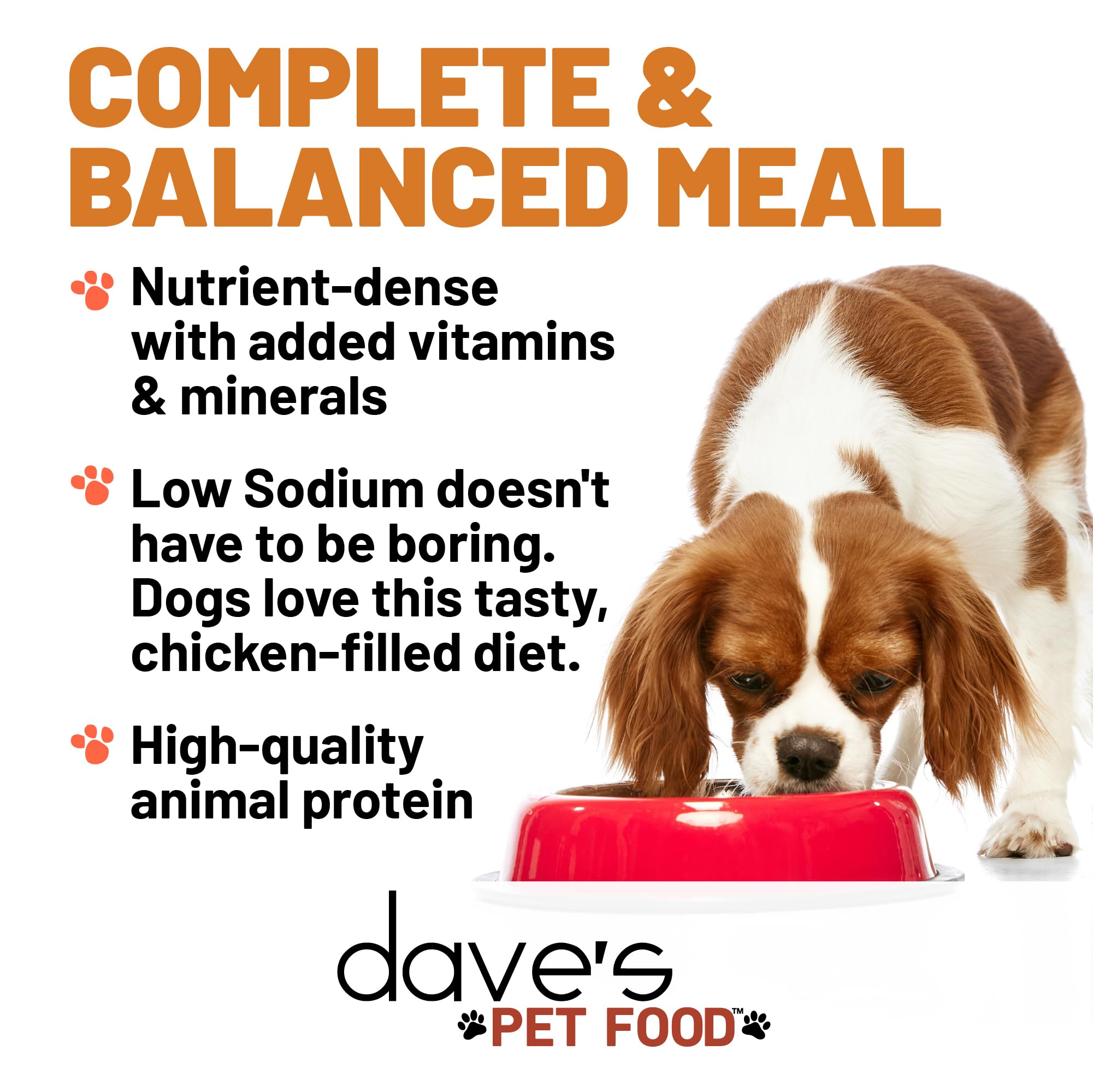 Dave's Pet Food restricted sodium diet pate packaging case of 12 for steady supply