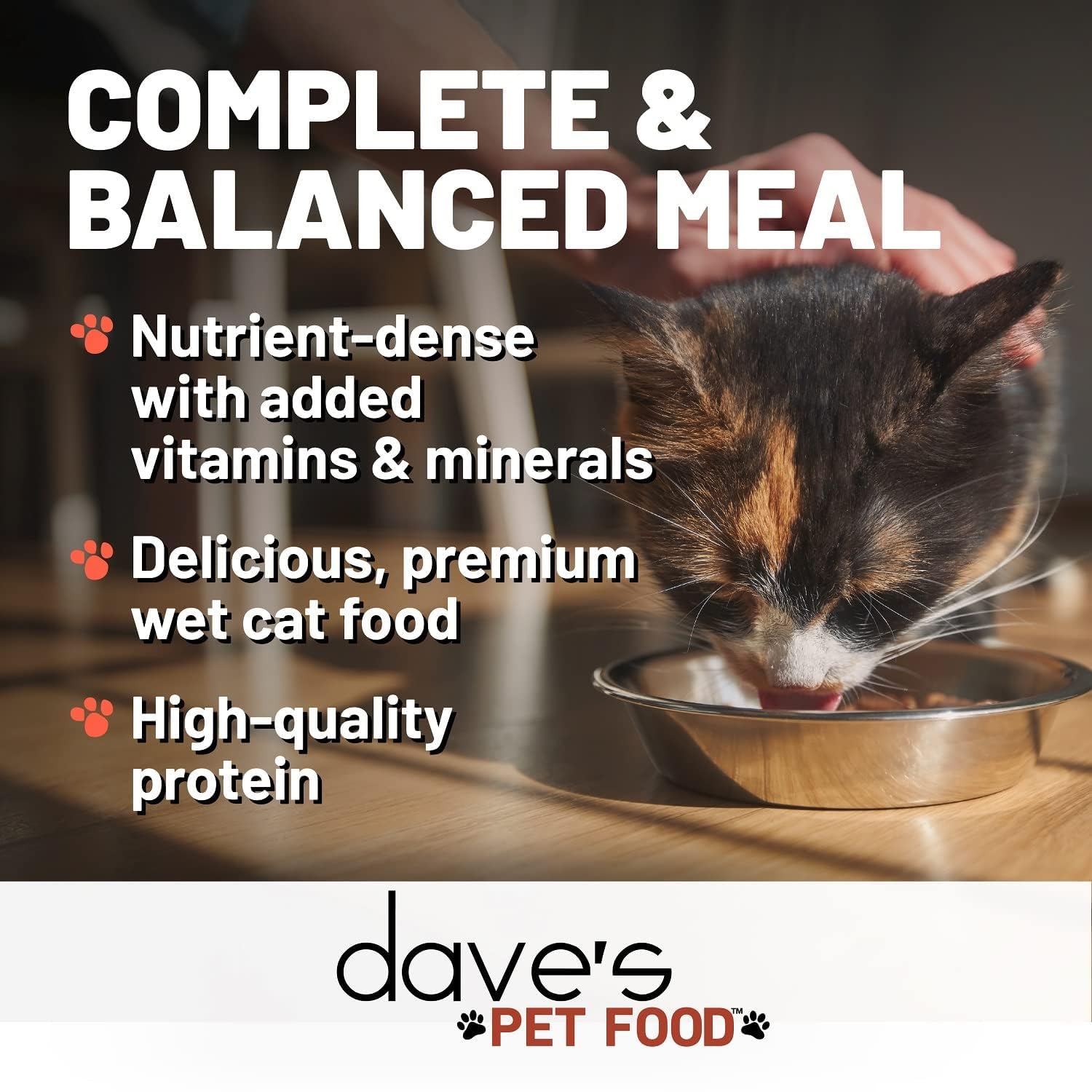 Dave's Pet Food shredded chicken in gravy bowl, convenient serving that encourages hydration and appetite.