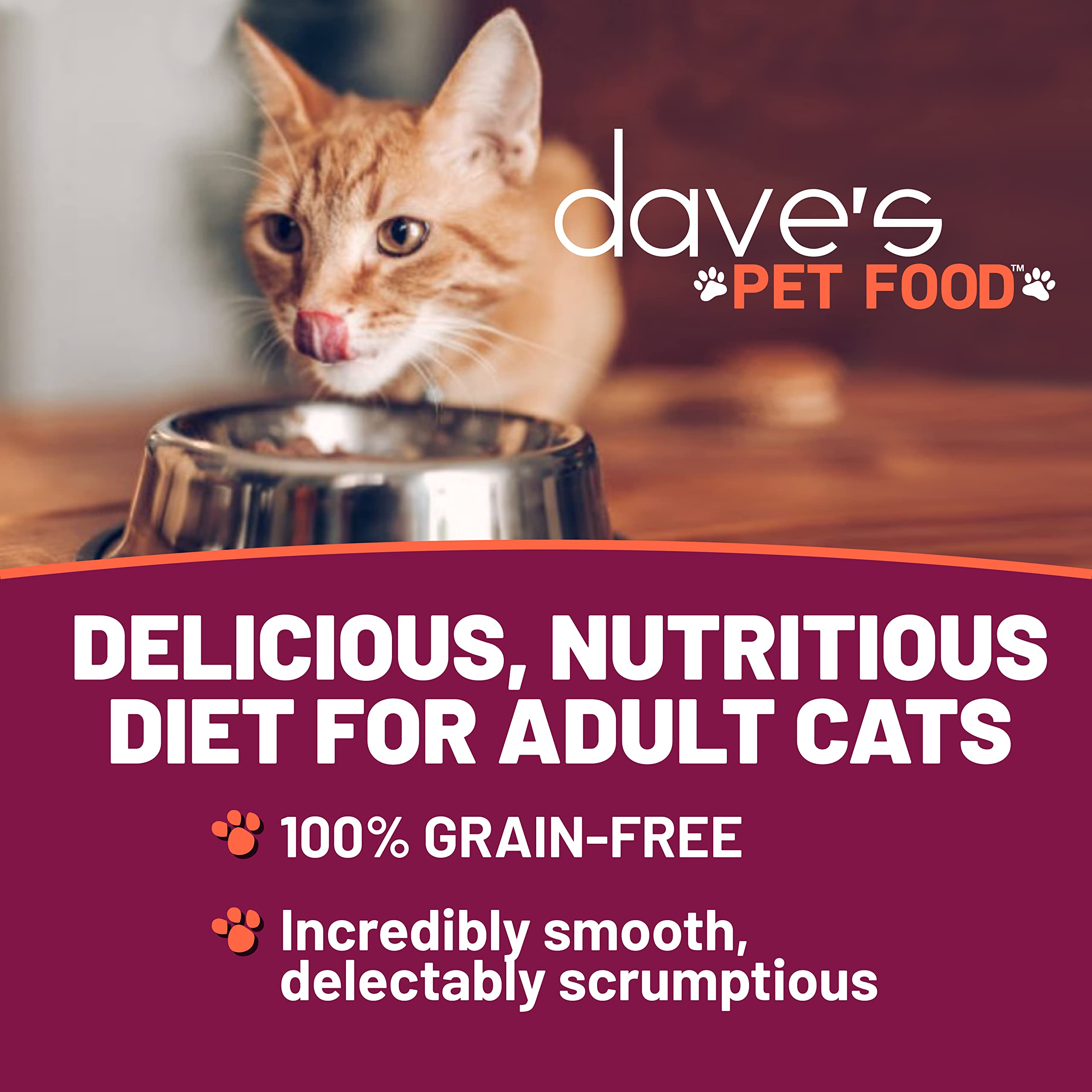 Dave's Pet Food shredded chicken in gravy closeup, tender shreds and aroma entice cats.