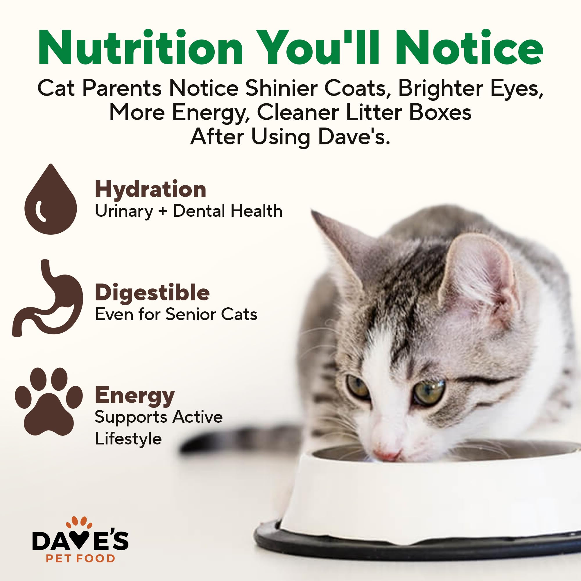 Dave's Pet Food turkey pate ingredients glance, showcasing natural, wild-inspired components.