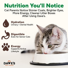Dave's Pet Food turkey pate ingredients glance, showcasing natural, wild-inspired components.