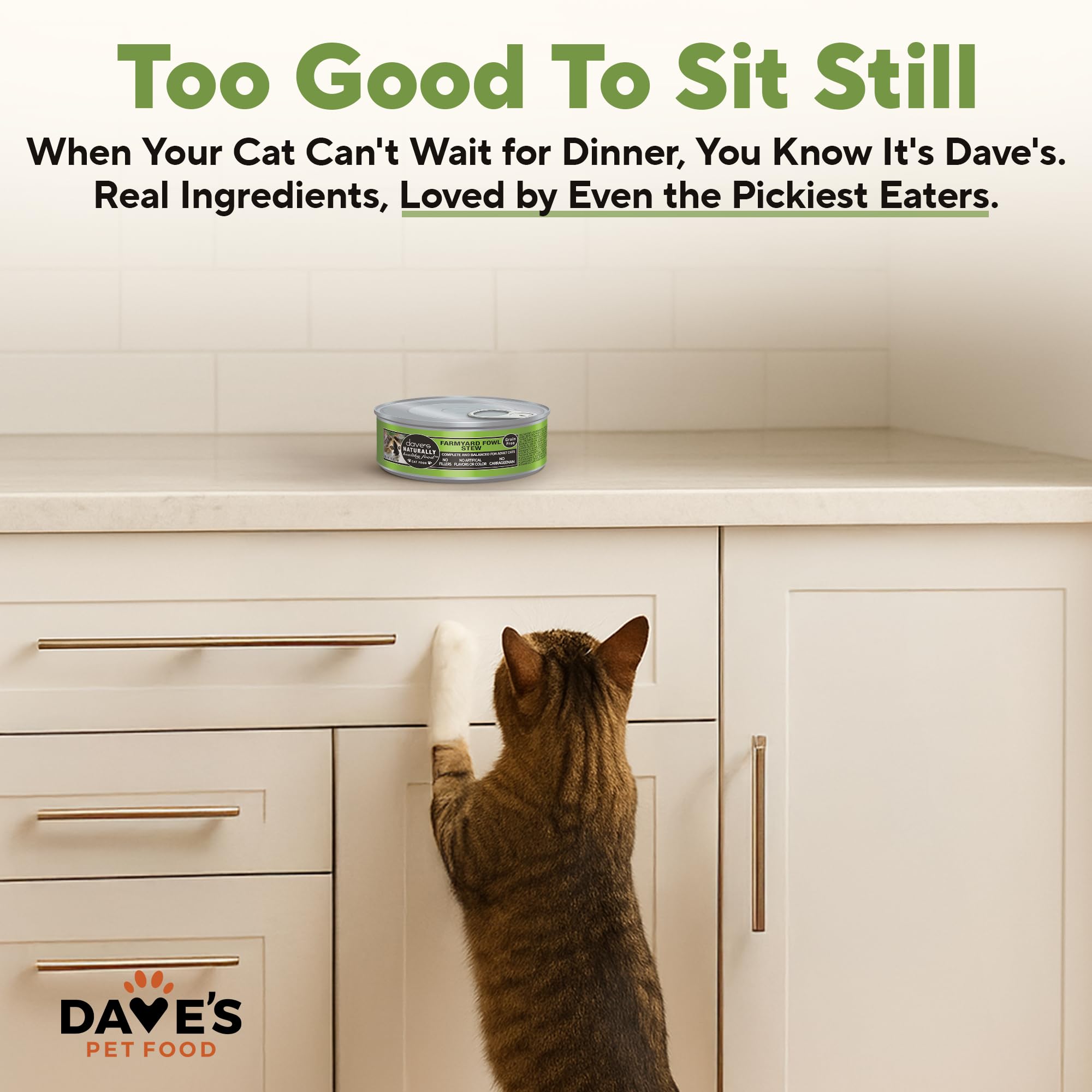 USA-made Dave's Pet Food packaging logo on the product