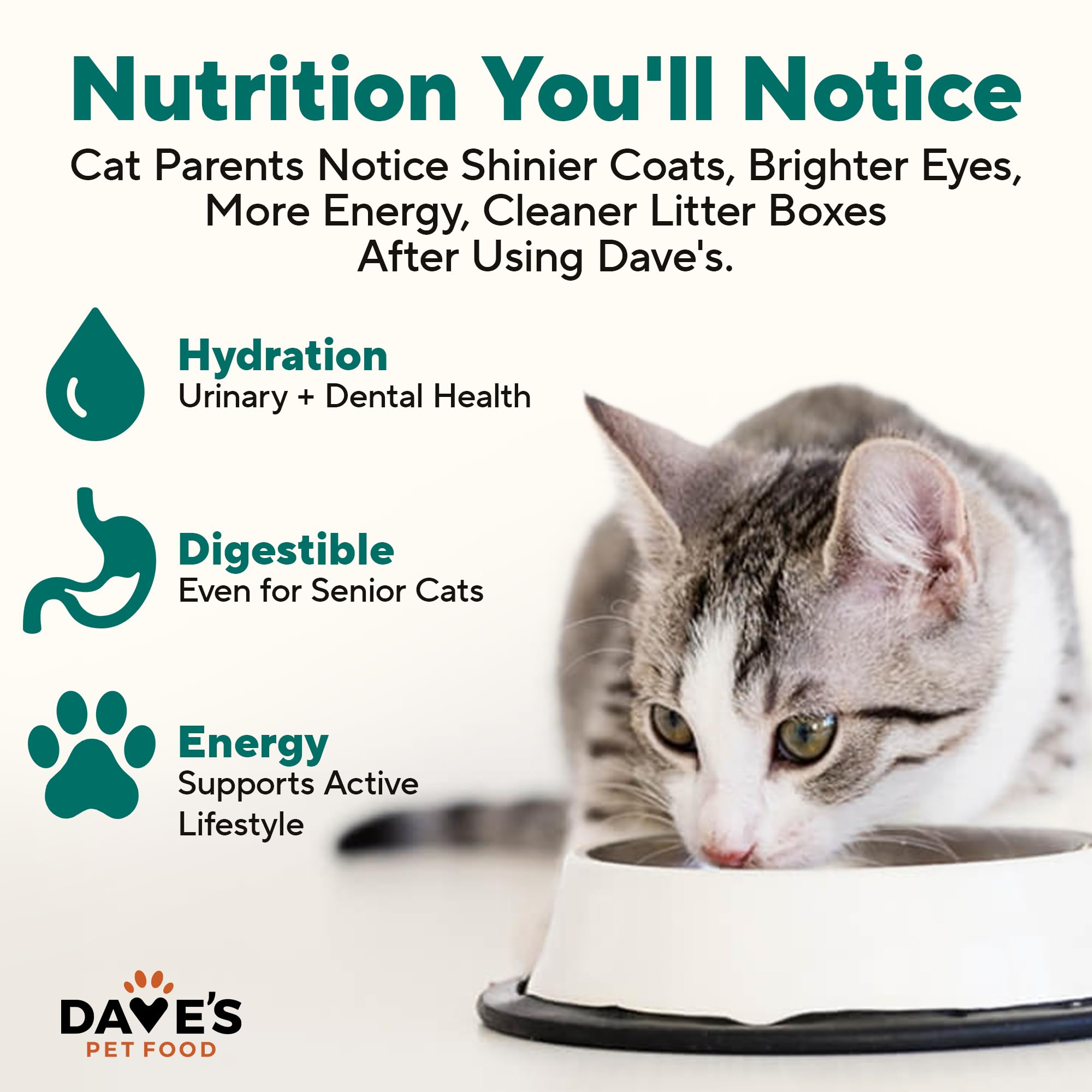 Dave's Pet Food USA-made seal on pack signals quality and domestic sourcing