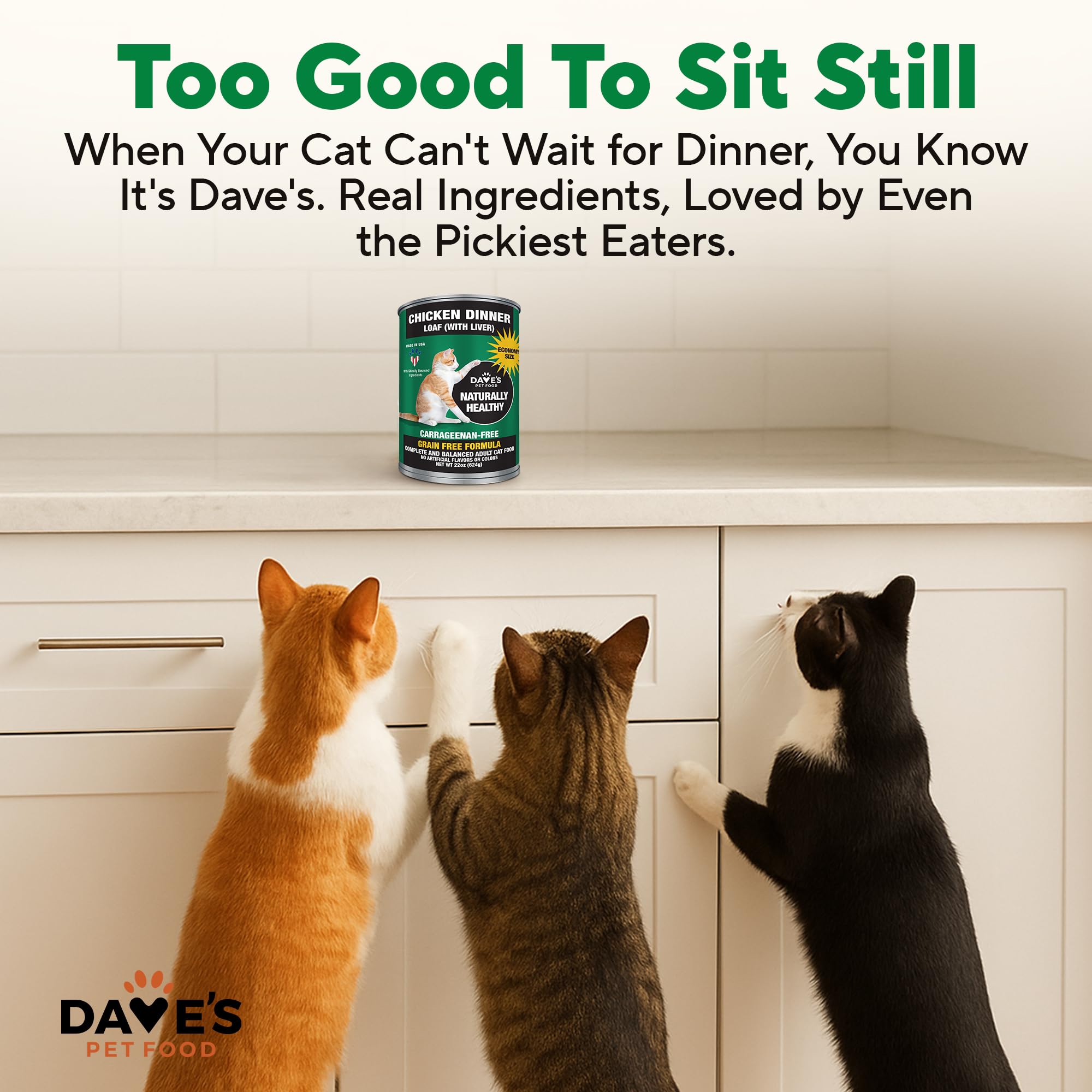Vitamin and mineral fortification highlights Dave's Pet Food's added nutrients for balanced meals.