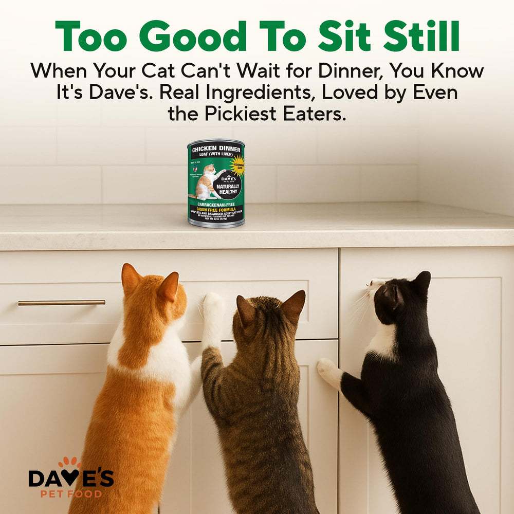 Vitamin and mineral fortification highlights Dave's Pet Food's added nutrients for balanced meals.