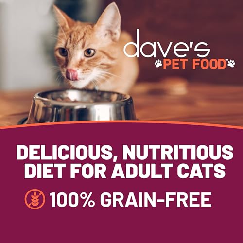 Dave's Pet Food wet cat food gravy serving bowl shows appetizing texture for mealtime