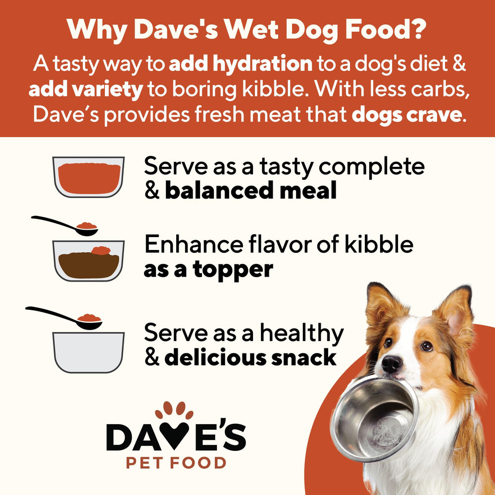 Dave's Pet Food serving bowl scene demonstrates easy serving and fresh water integration.
