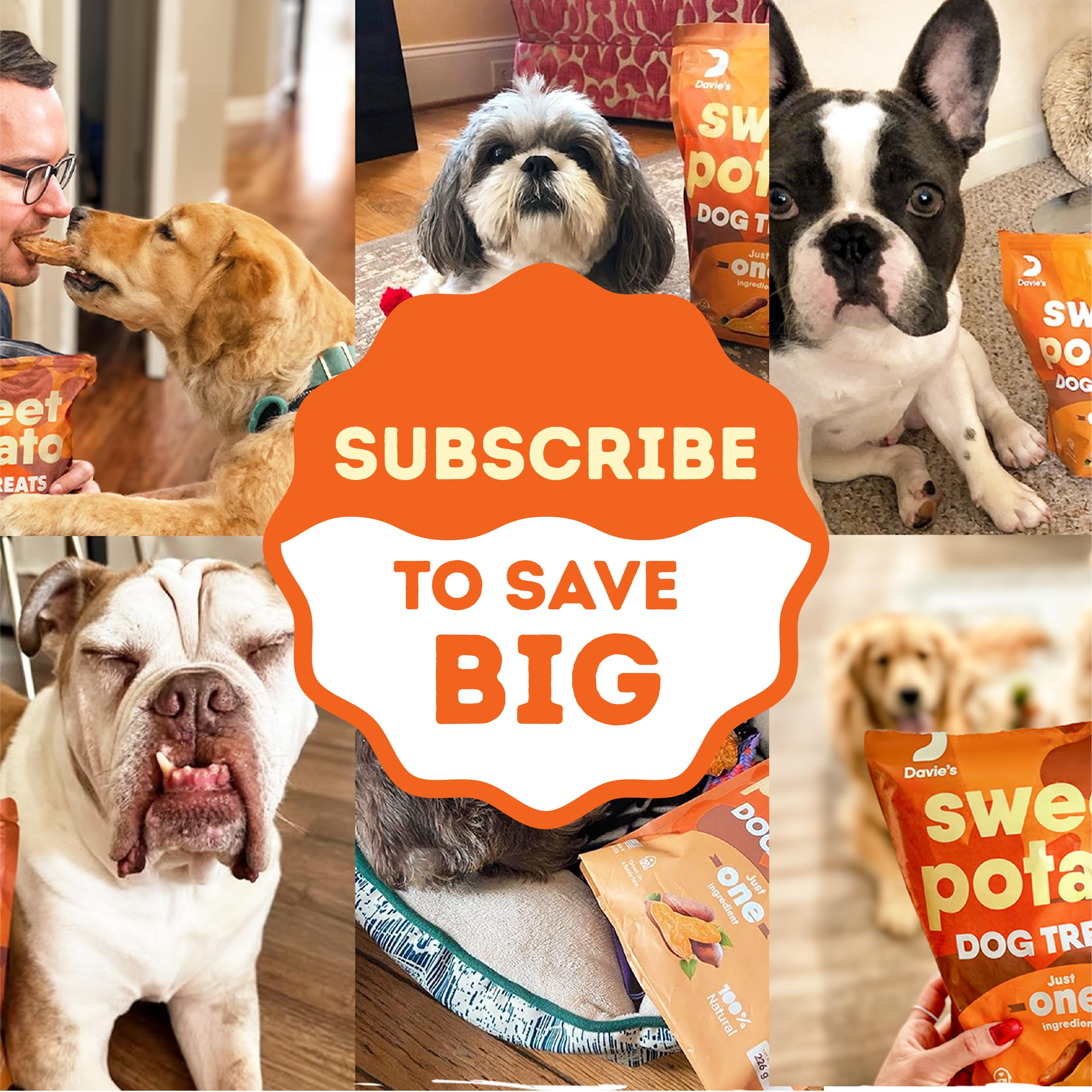 1 lb bag of Davie's Naturals sweet potato dog treats for easy snacking