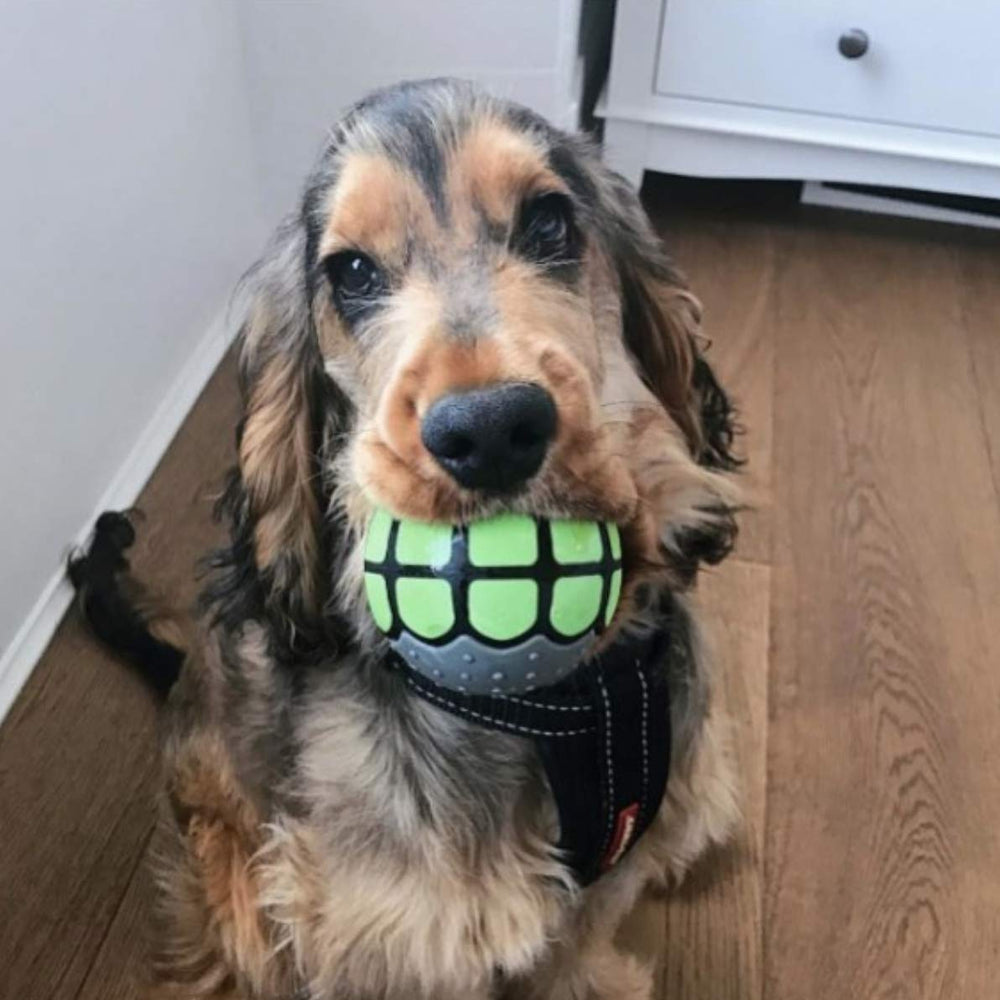 Dawg Grillz ball floats in water for pool and splash-safe playtime