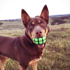 Dawg Grillz vanilla scented ball emphasizes sensory play for engaging pets during games