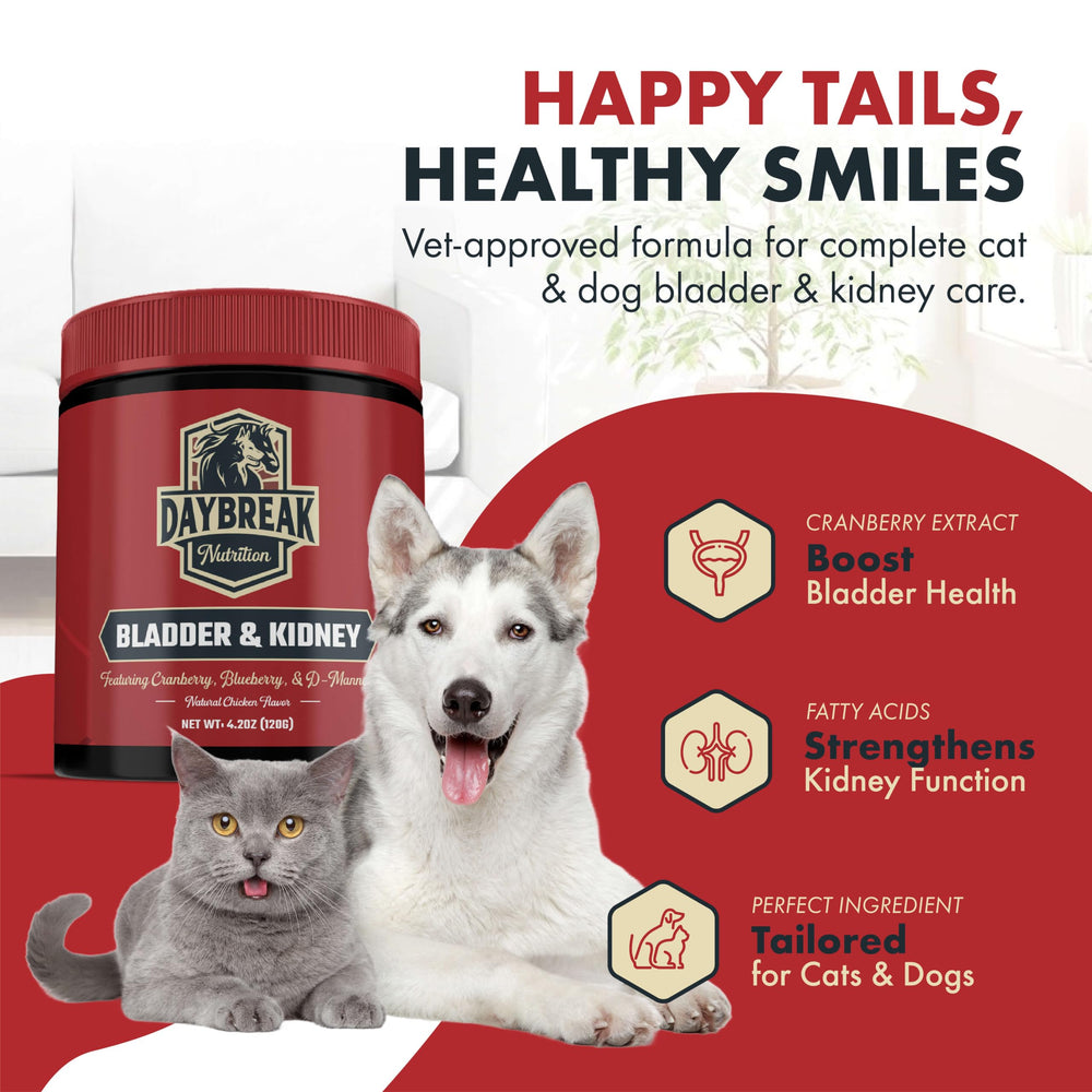Daybreak Nutrition blueberry-powder-tub: blueberry powder for urinary wellness.