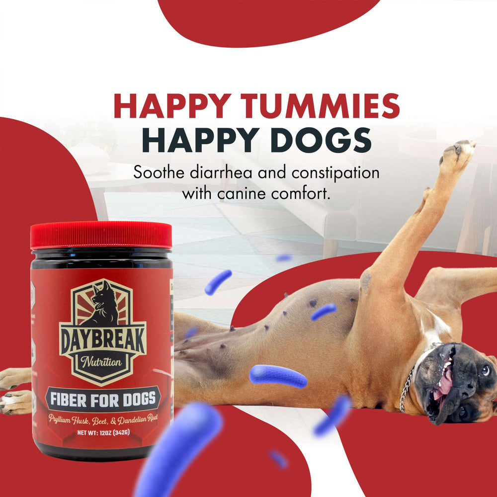 Daybreak Nutrition Fiber for Dogs beet root and dandelion root natural ingredients aiding digestion