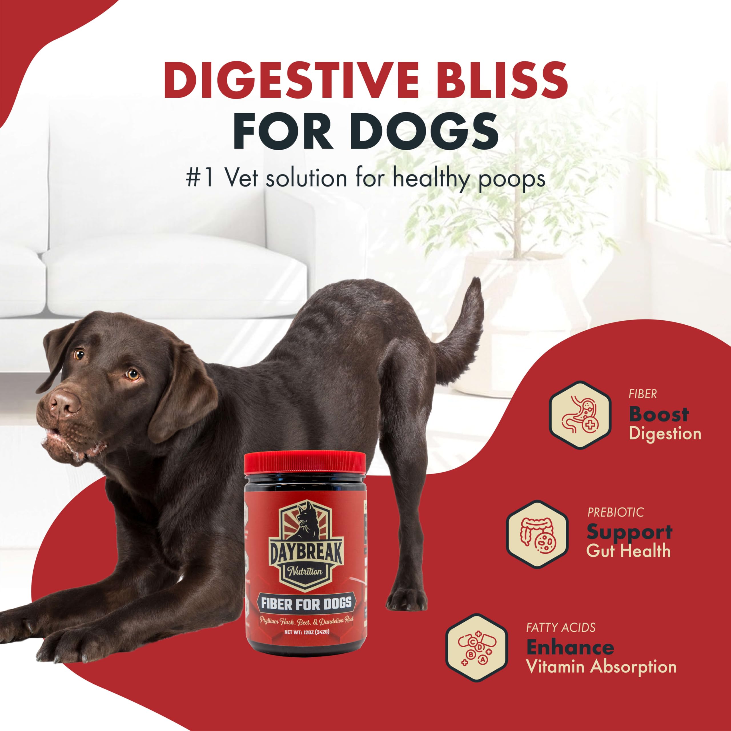 Daybreak Nutrition Fiber for Dogs pour shows easy daily dosing for digestion