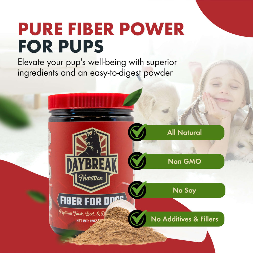 Daybreak Nutrition Fiber for Dogs prebiotics image underscores gut-friendly support