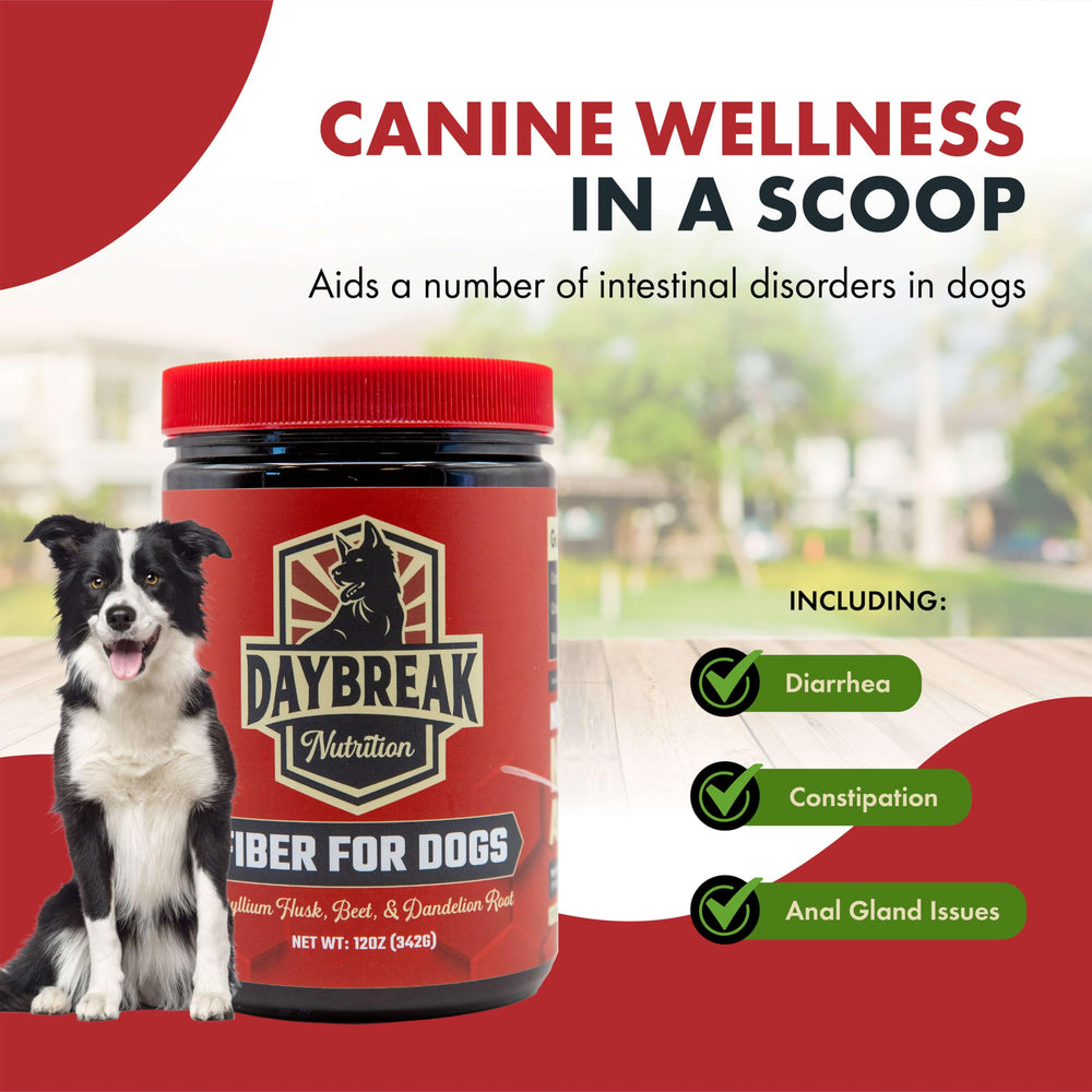 Daybreak Nutrition Fiber for Dogs scooting illustration indicates potential relief of discomfort