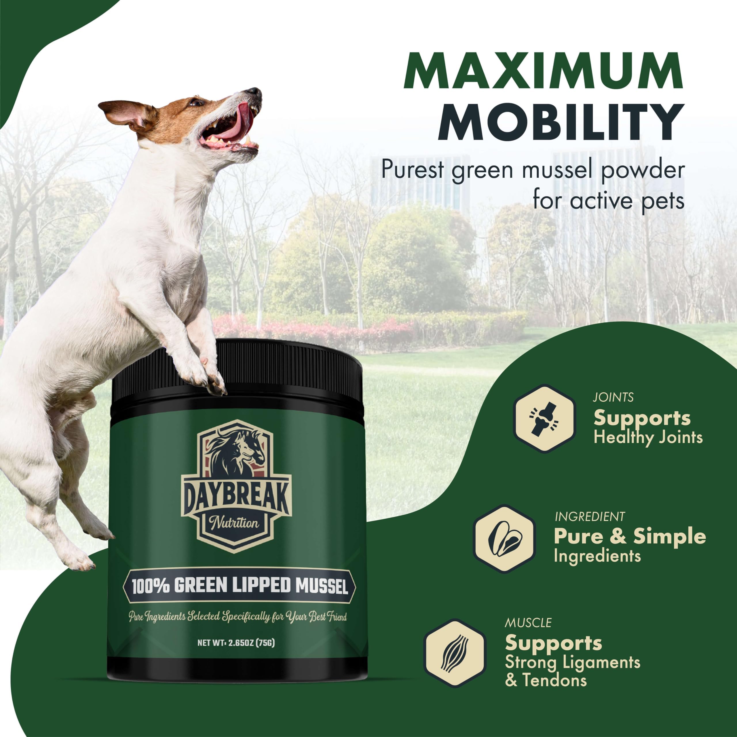 Daybreak Nutrition green-lipped mussel powder scoop enables easy dosing for dogs and cats.
