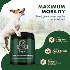 Daybreak Nutrition green-lipped mussel powder scoop enables easy dosing for dogs and cats.