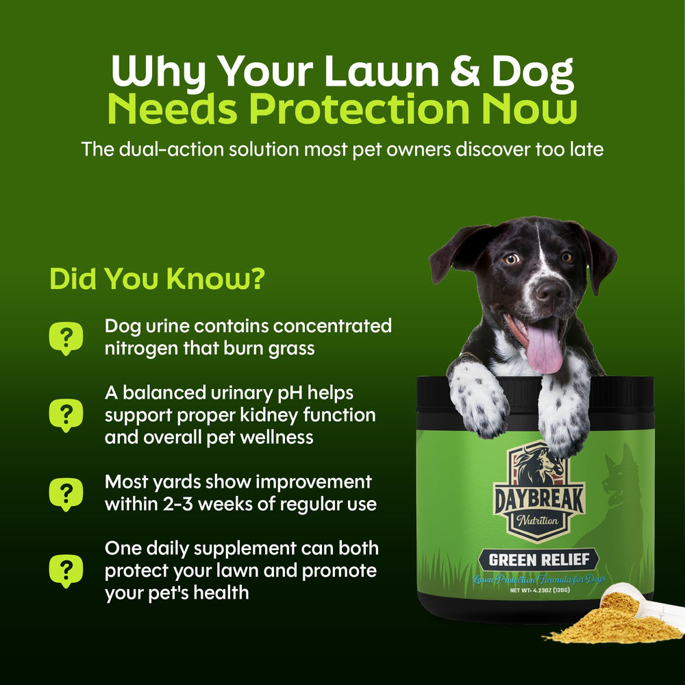 Daybreak Nutrition Green Relief powder dissolving in moist dog food shows quick acceptance
