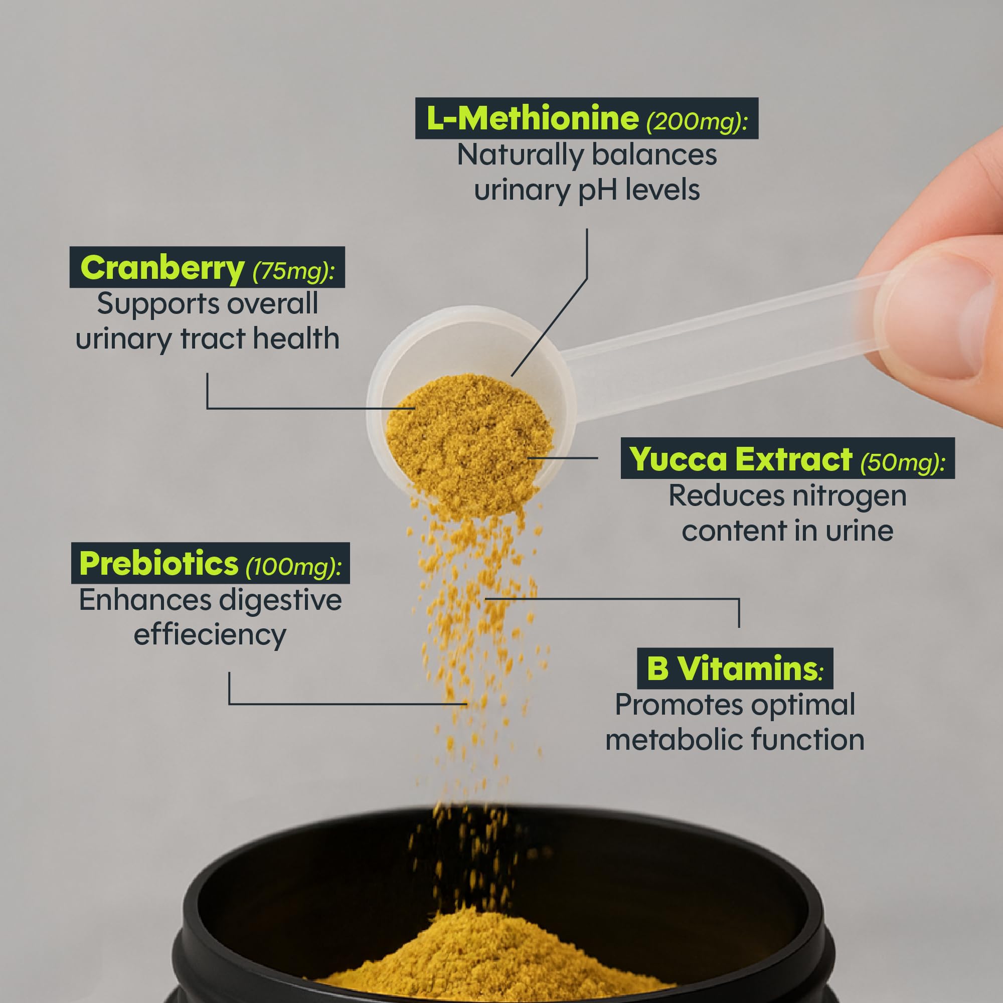 Daybreak Nutrition Green Relief packaging with scoop illustrates a full month supply