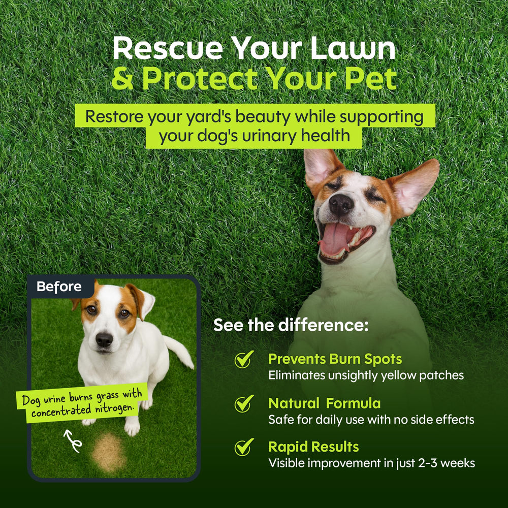 Daybreak Nutrition Green Relief lawn scene shows lush grass with fewer yellow patches