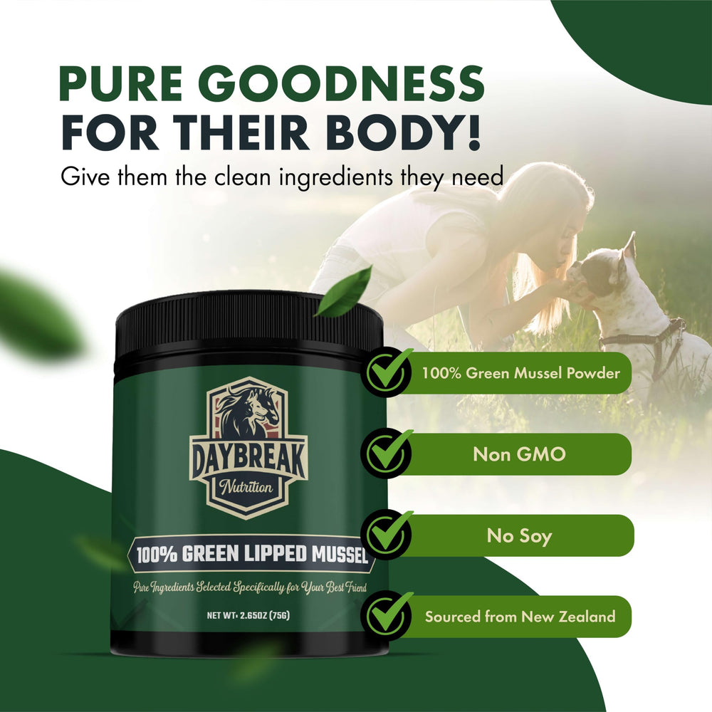 Daybreak Nutrition pet arthritis relief supplement bottle scene suggests everyday comfort after meals.