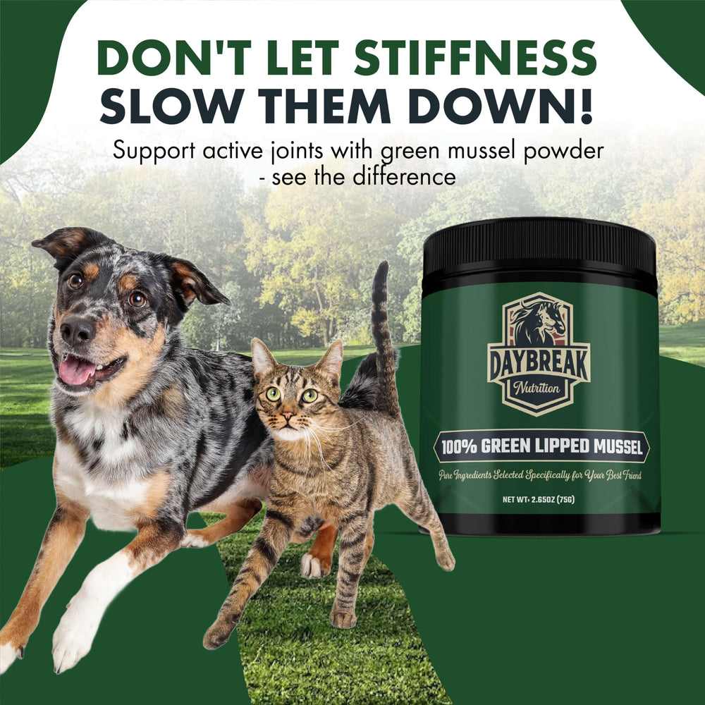 Daybreak Nutrition joint support for animals product shot emphasizes anti-inflammatory benefits for mobility.