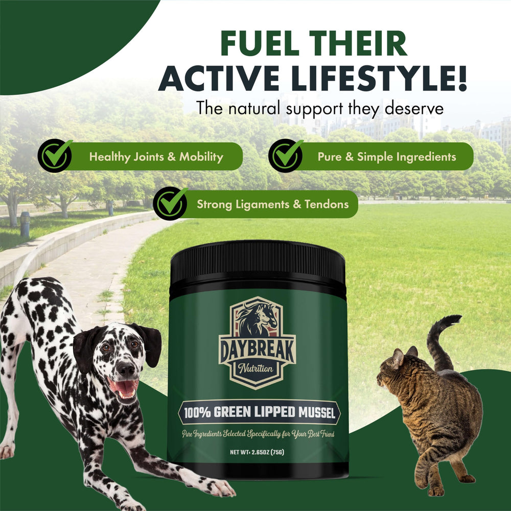 Daybreak Nutrition powder close-up captures natural texture and purity cues.