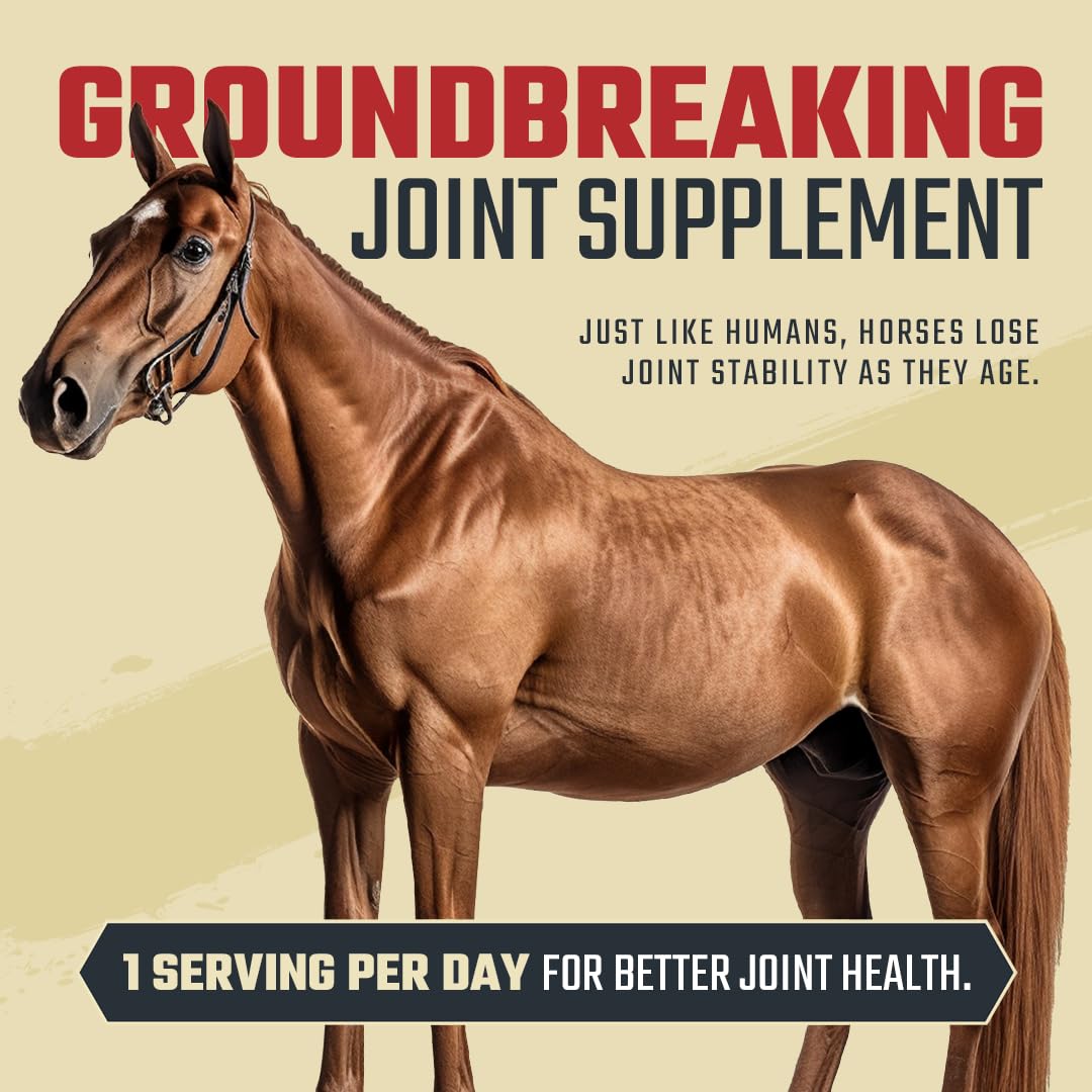 Daybreak Nutrition premium ingredients image – glucosamine, MSM, and chondroitin for mobility.