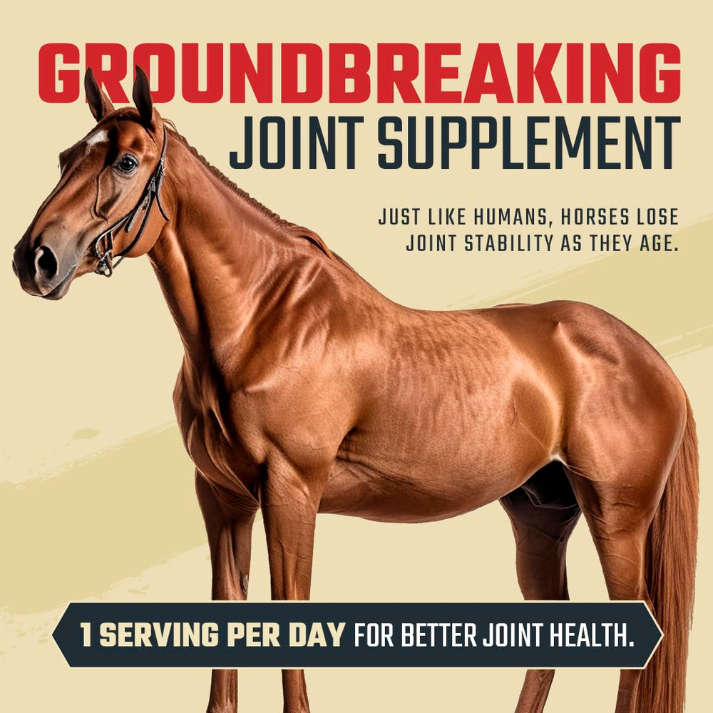 Daybreak Nutrition premium ingredients image – glucosamine, MSM, and chondroitin for mobility.