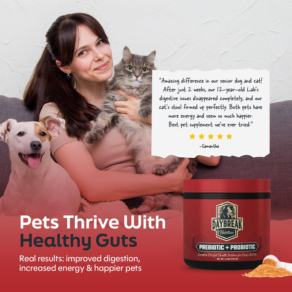 Daybreak Nutrition Probiotics multi-pet-home envisions use across a multi-pet household