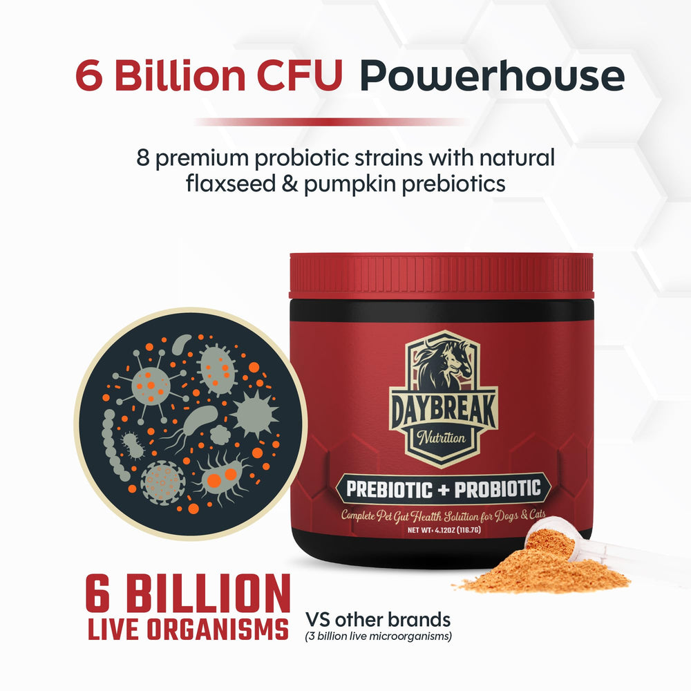 Daybreak Nutrition Probiotics pets-bowl depicts easy daily dosing for cats and dogs