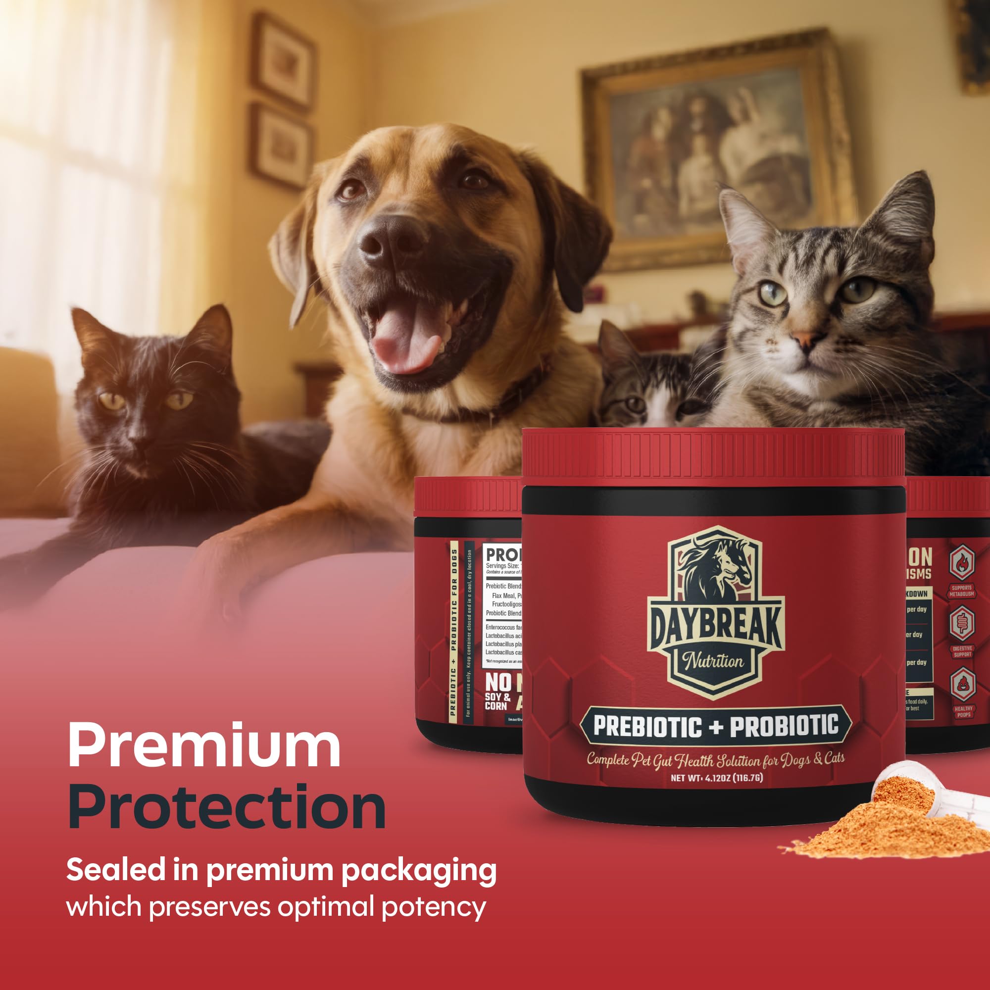 Daybreak Nutrition Probiotics powder-kibble shows seamless mixing with food