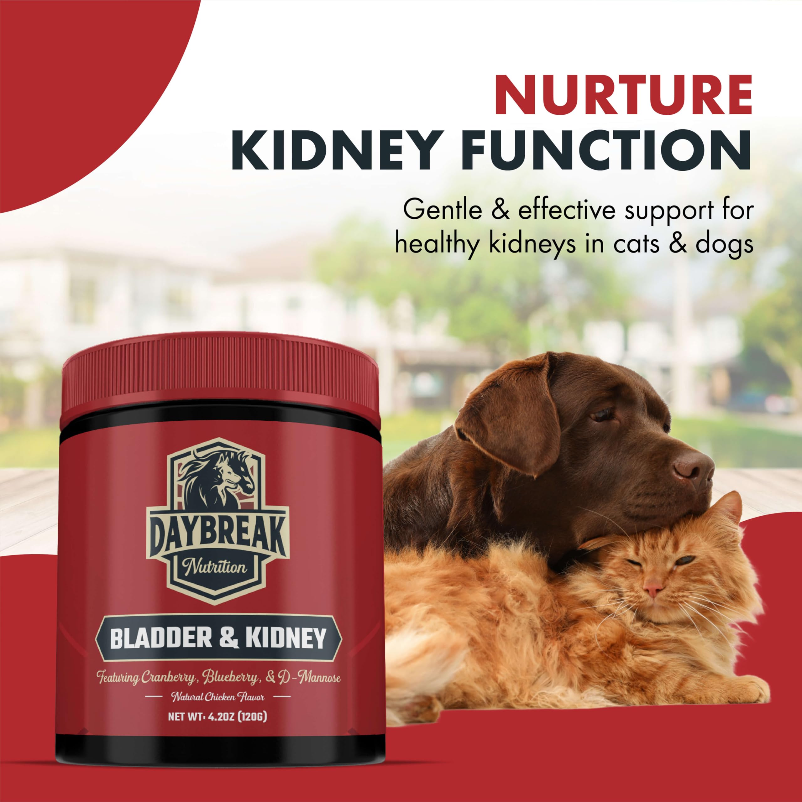 Daybreak Nutrition wisconsin-manufacturing-facility: quality control from Wisconsin facility.
