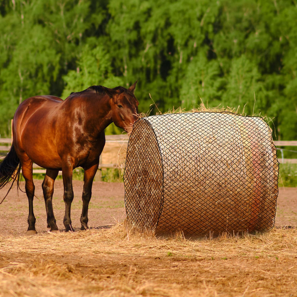Dayimado easy-install hay net demonstrated with stretch-and-secure closing rope