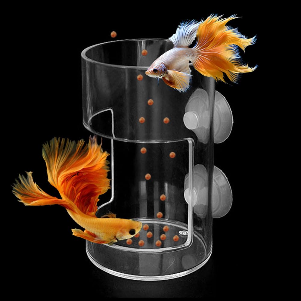 Dbeans Flourithing fish feeder orbicular bowl reduces food waste for a tidier tank