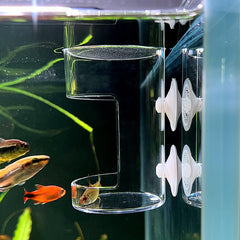 Dbeans Flourithing fish feeder with sturdy suction cups stays securely mounted